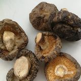 四喜烤麸or四喜靠夫[奸笑][奸笑]