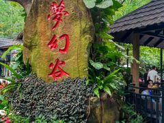 -呀诺达热带雨林