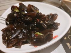 凉拌木耳-丰茂烤串(金源店)