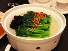 泉水木耳浸有机菜心-广州文华东方酒店·江-由辉师傅主理