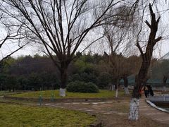 -祥源·阜阳生态乐园