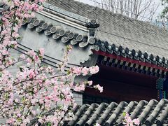 -国家植物园