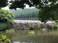 -九龙潭景区