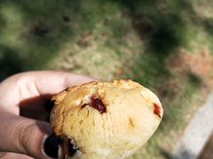 -Juicy Bakery(大学路店)