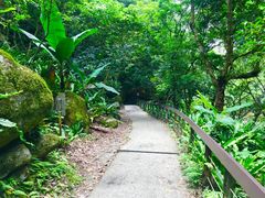 -太鲁阁公园