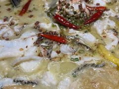 -三天打鱼(奥体店)