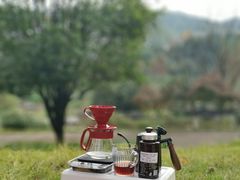 -铁山坪森林公园