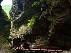 -牛背梁国家森林公园