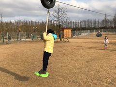 -上海长兴岛郊野公园