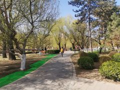 -元大都城垣遗址公园