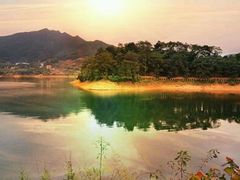 -广州市流溪河国家森林公园