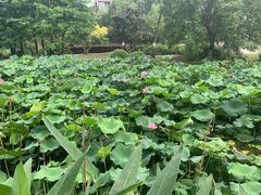 -3W咖啡(国家软件园店)