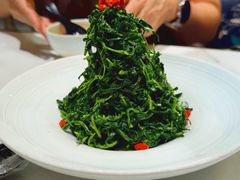 红果枸杞苗-清真·宁夏印象·盐池滩羊肉体验店(江宁路店)