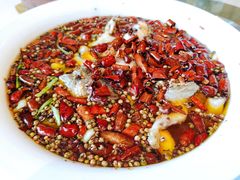 水煮鲈鱼-眉州东坡(北苑华贸店)
