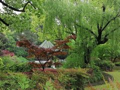 -申粤轩酒楼·三十年粤菜经典(丁香花园店)