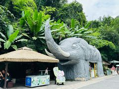 -野象谷景区