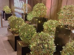 -新加坡乌节希尔顿酒店 (SG Clean)