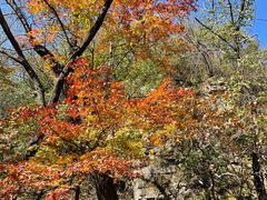 -玉渡山自然风景区