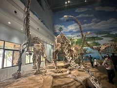 -自贡恐龙博物馆