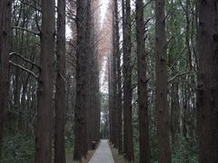 -同里国家湿地公园