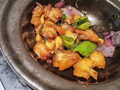 -鸽小宝(深圳首店)