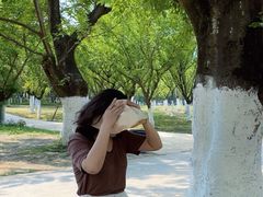 -秀丽东方