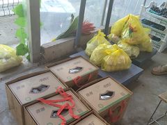 -马陆小张葡萄园农家乐