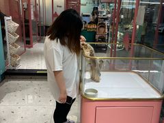 -FAELING PETS美天灵宠物(合生汇店)