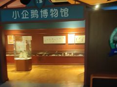 -海合安武汉极地海洋公园