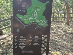 -上海佘山国家森林公园天马山园