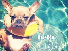 -JUKEBOX玖部音乐餐厅(华侨城店)