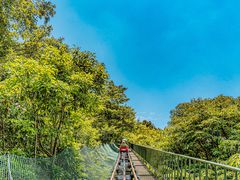 -九皇山景区