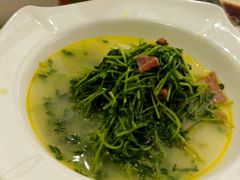 上汤豆苗-申宴酒楼(王子百货店)