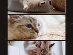 -徐州羊肉汤(中圣街店)