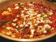 -蜀都丰 正宗水煮鱼(建德天城店)
