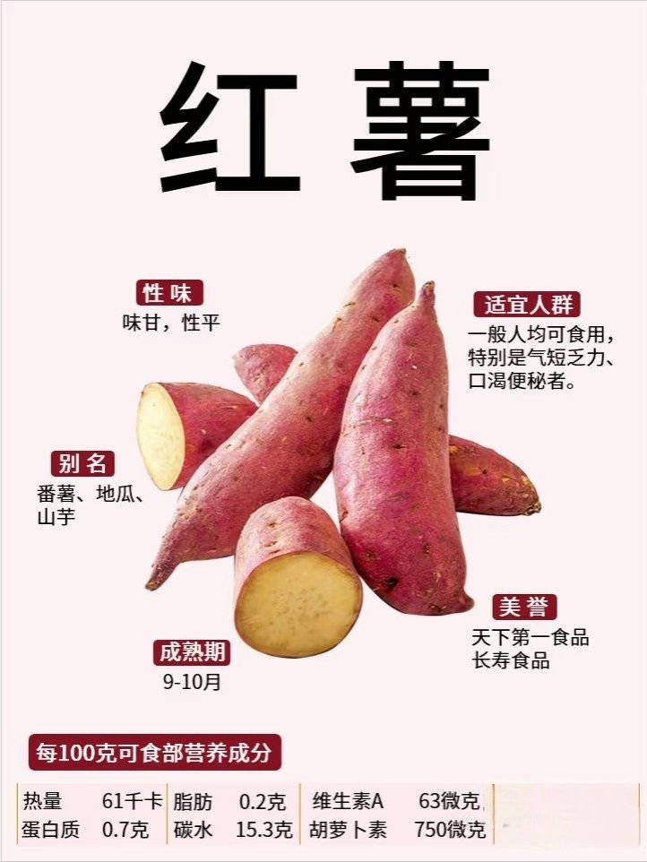 红薯的来历我知道