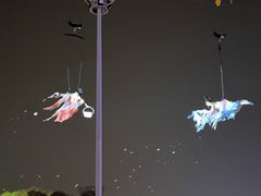 -国际非物质文化遗产博览园