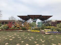 -上海长兴岛郊野公园