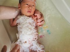 -爱贝佳母婴护理服务中心·月嫂育儿嫂(鲁迅路店)