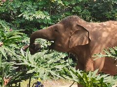 -广州长隆野生动物世界
