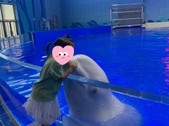 -石家庄极地海洋世界