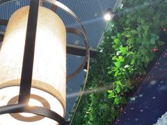 -遇见阿家村云南菜(魏公村店)