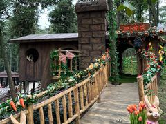 -南京银杏湖乐园