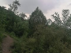 -空心山旅游区