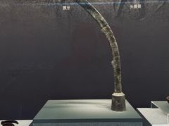 -良渚博物院