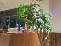 -榖屋house of flour(张江首店)