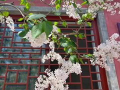 -潭柘寺景区