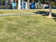 -海沧湾公园