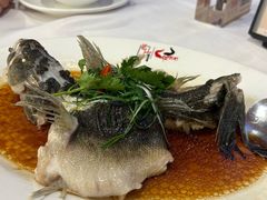 -万山楼海鲜酒家·二十三年老字号