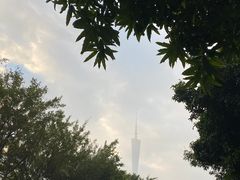 -广州塔